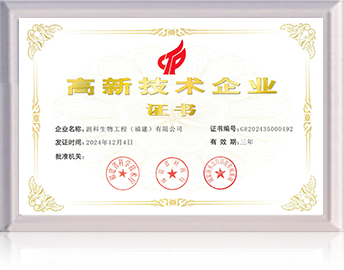 高新技術(shù)企業(yè)證書